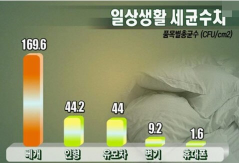 세균 번식지, 베개