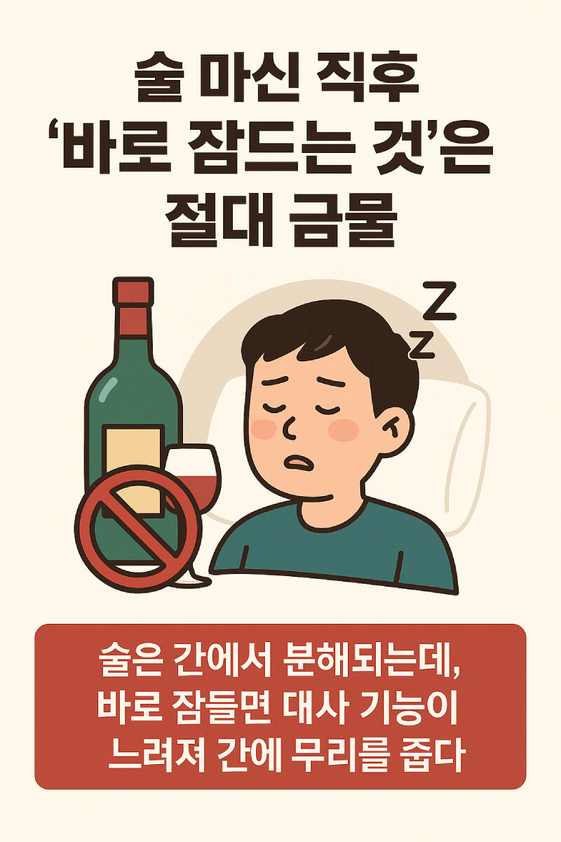 술 마신 직후 '바로 잠드는 것'은 절대 금물 이미지