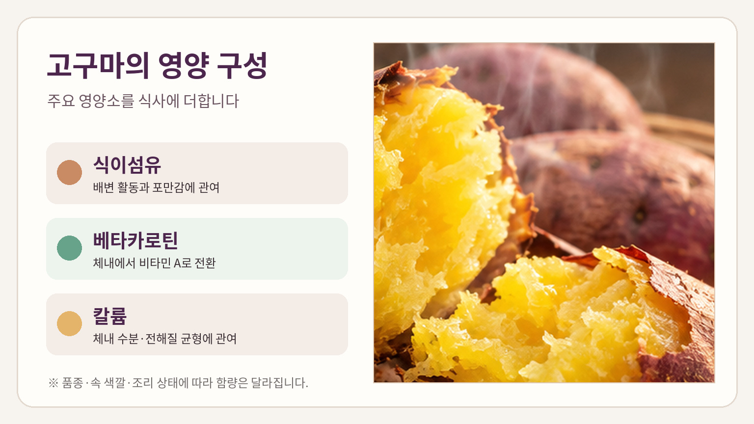 고구마 단면과 함께 식이섬유&middot;베타카로틴&middot;칼륨의 영양학적 역할을 정리한 이미지