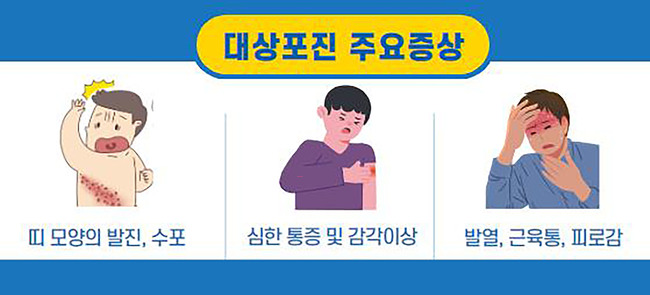 2025년 대상포진 예방접종 주기 및 비용 알아보기
