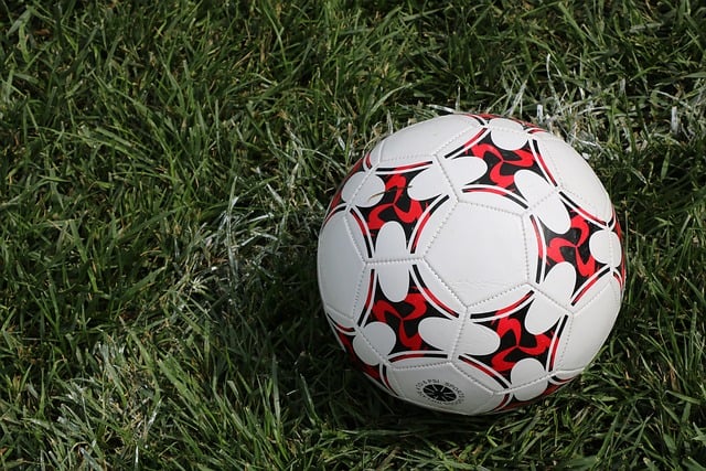 유로파리그 토트넘 알크마르 축구중계
