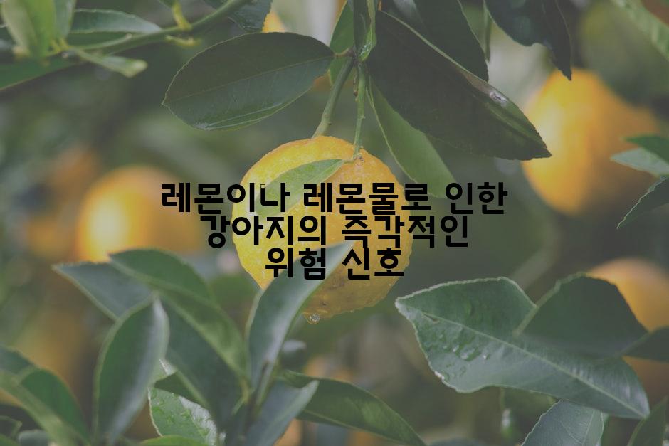 레몬이나 레몬물로 인한 강아지의 즉각적인 위험 신호