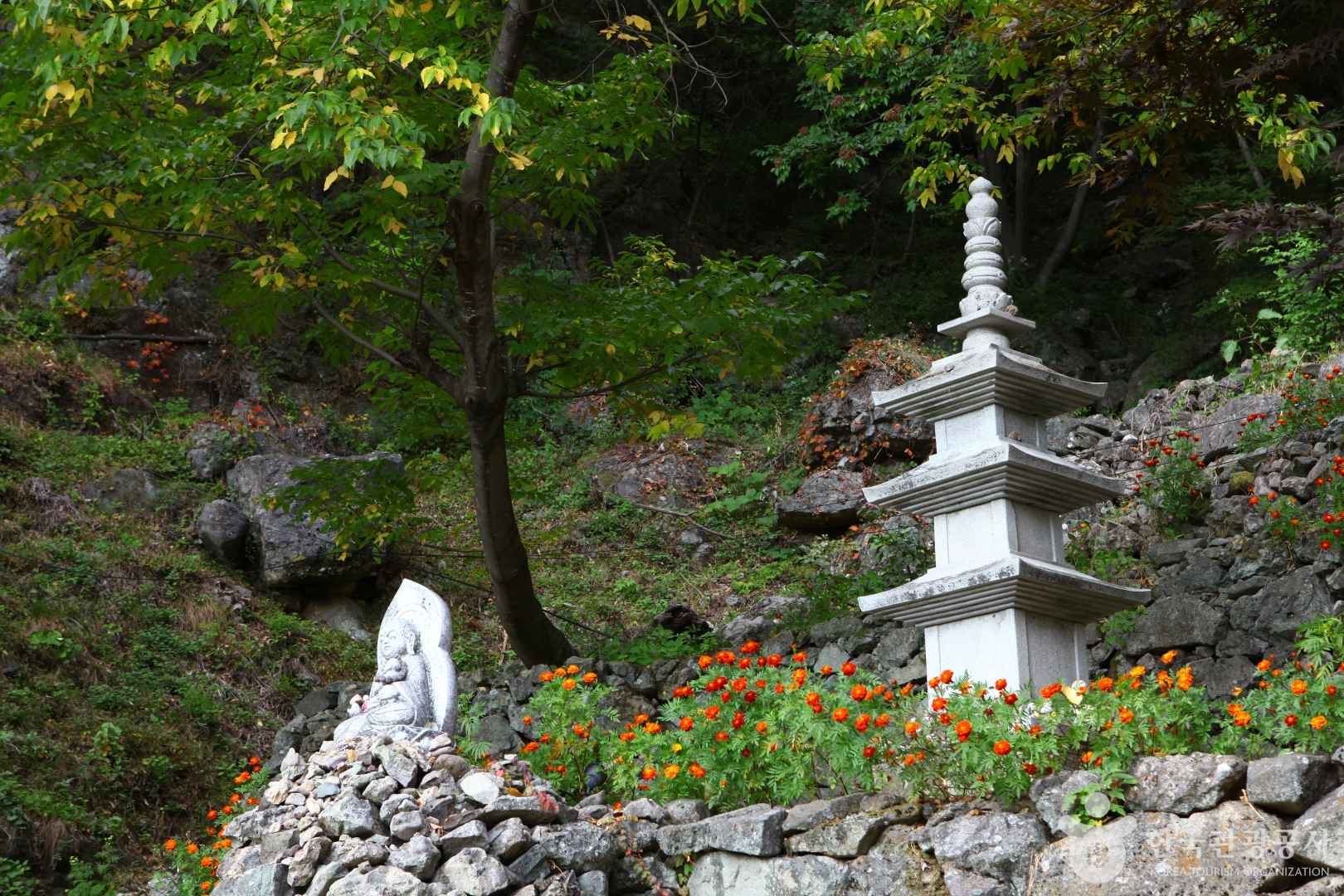 봉화 청량사