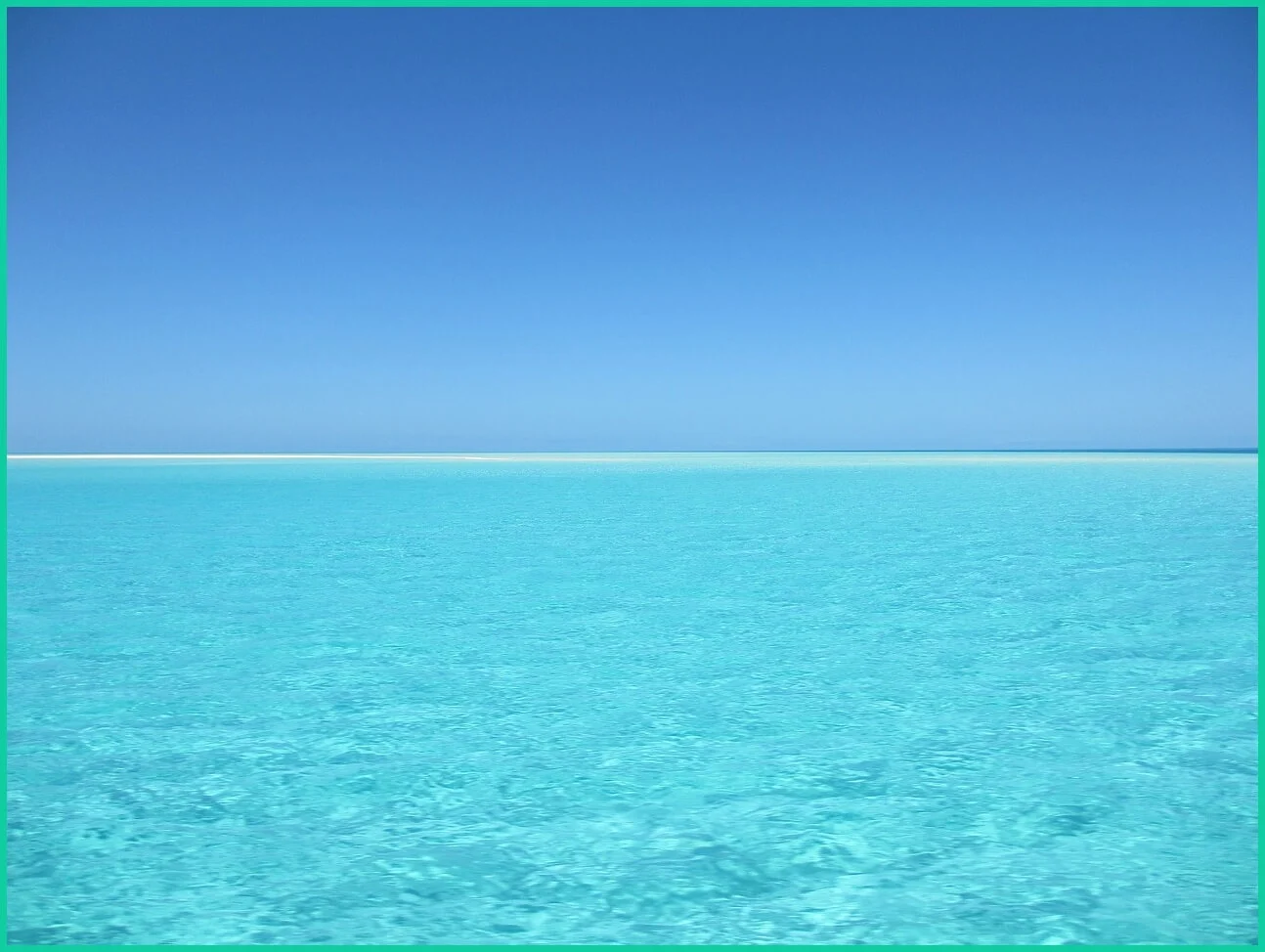 신한은행 예금금리