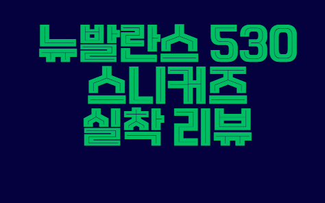 뉴발란스_530