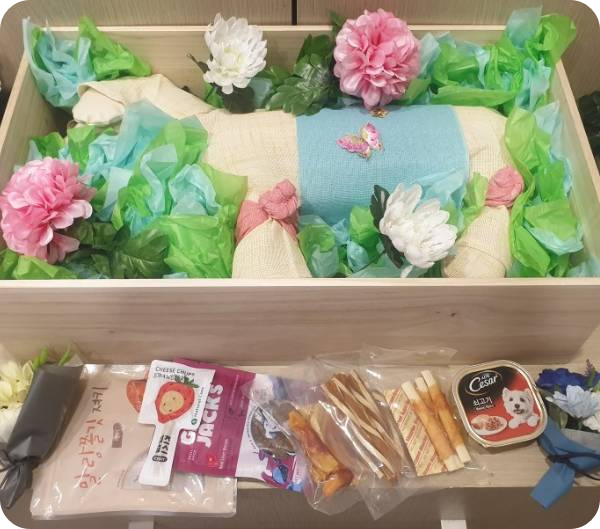 반려동물 장례 염습