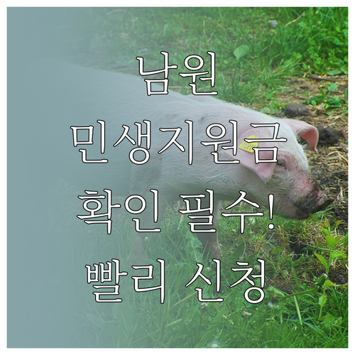 2026 남원 민생지원금 대상자 확인..