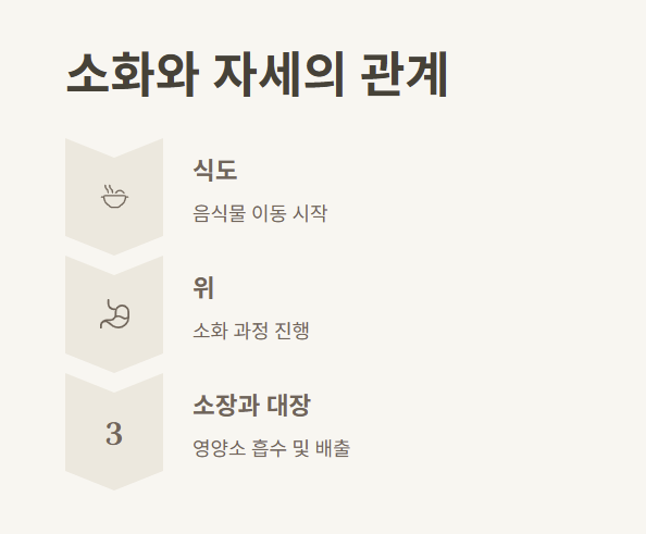 소화와 자세의 관계 이미지