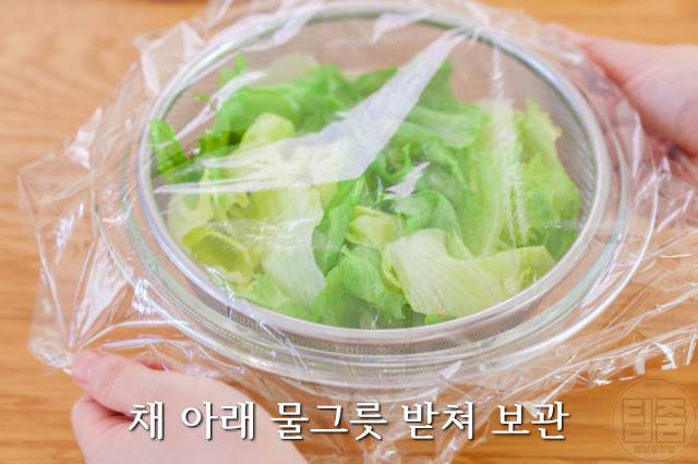 양상추 보관법,양상추 분홍색 변색,양상추샐러드