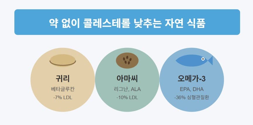 콜레스테롤 수치의 진실과 중년 건강