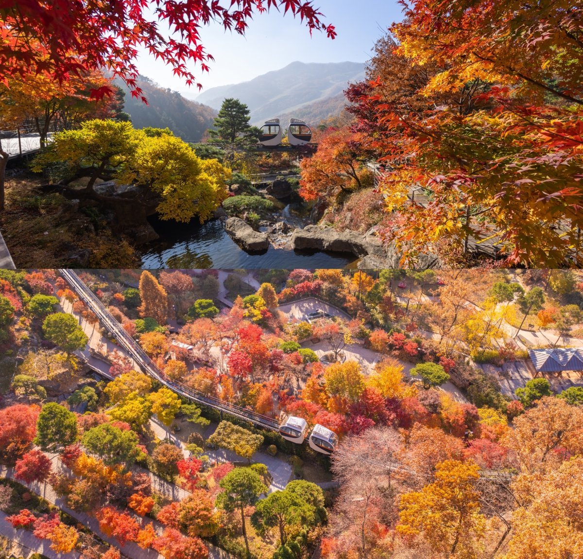 화담숲 모노레일 예약 방법