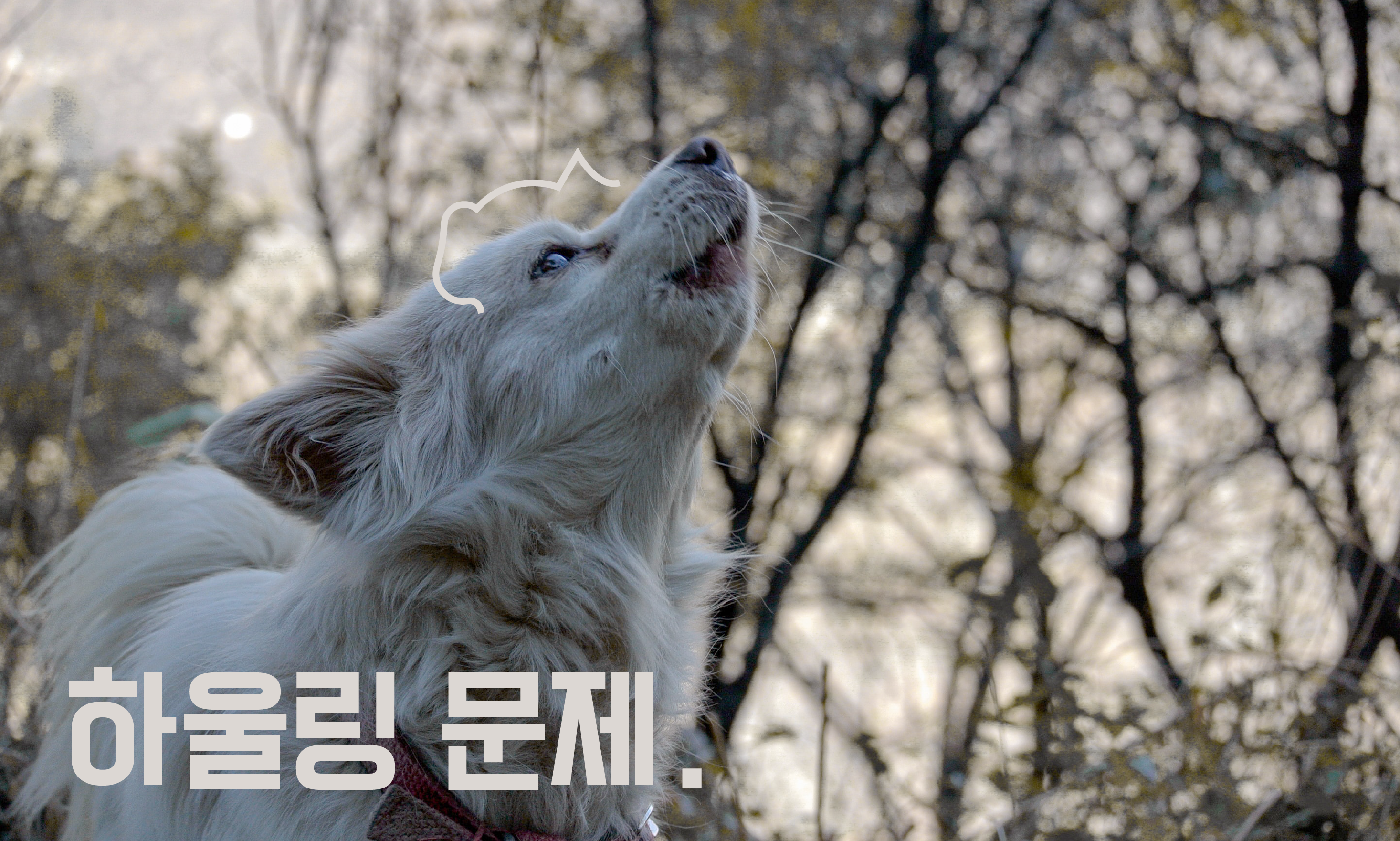 하울링