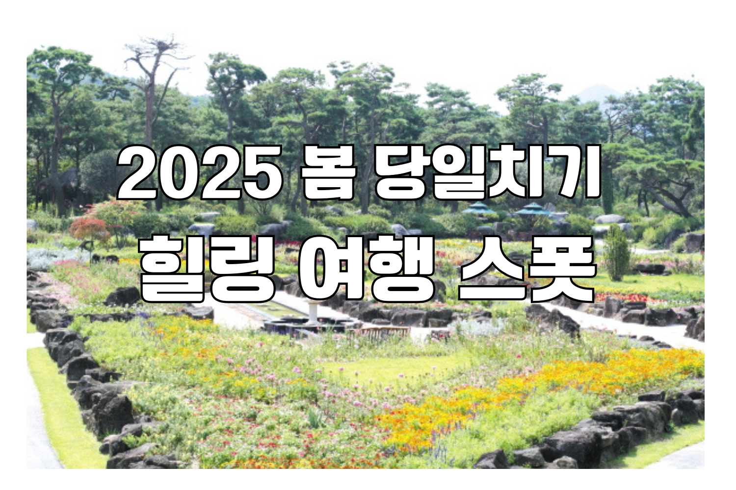 2025 봄 당일치기 힐링 여행 스폿
