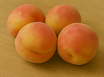 개복숭아효소의 효능