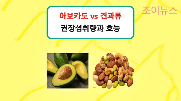 식이섬유 많은 음식 5가지의 효능과 권장 섭취량