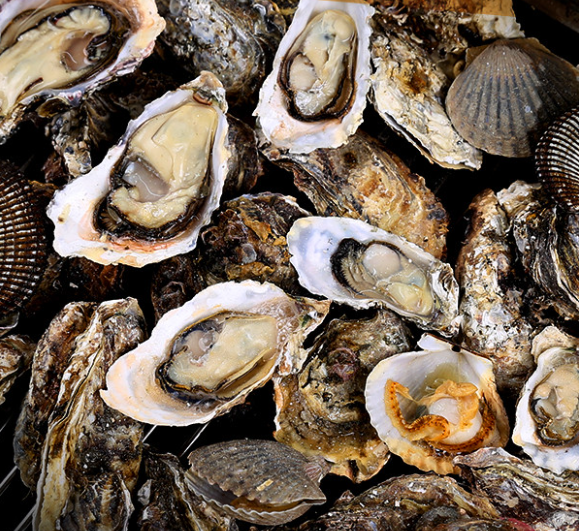 EBS1 극한직업 충남맛집 <굴구이, 굴찜> 위치정보