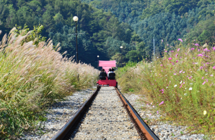 강촌 레일바이크