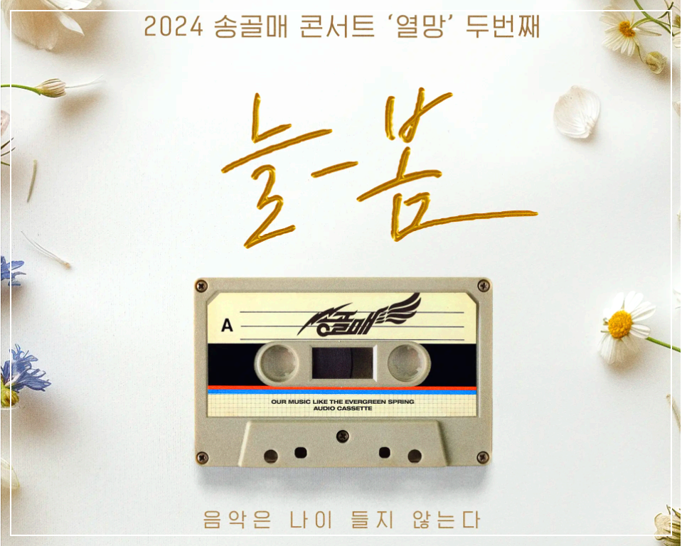 송골매