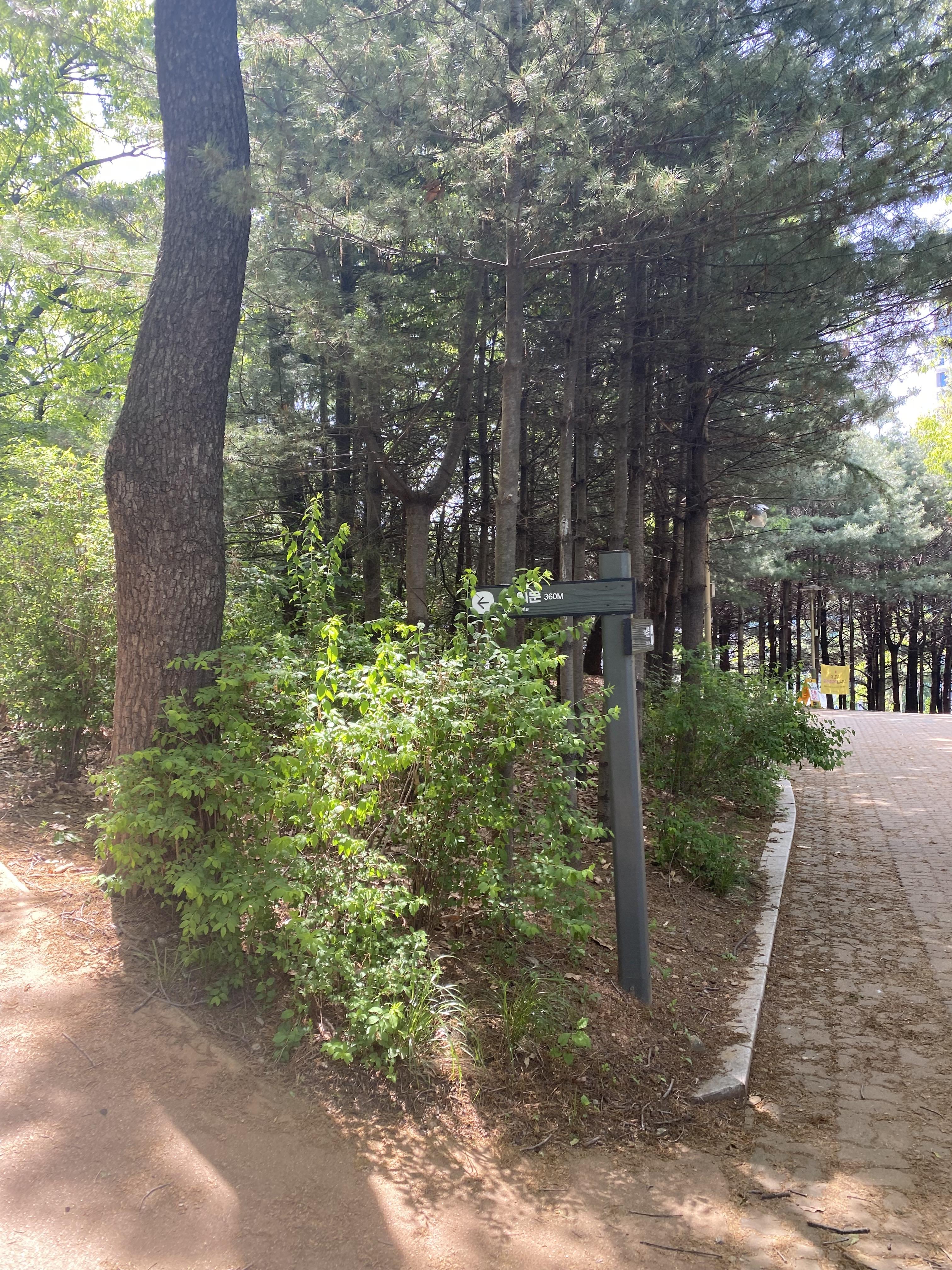 Alt 속성 문제 해결 설명 이미지