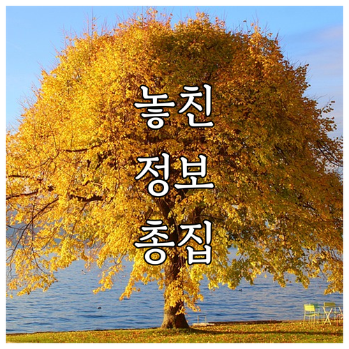 광주 민주화운동 2025년 지원금 사..