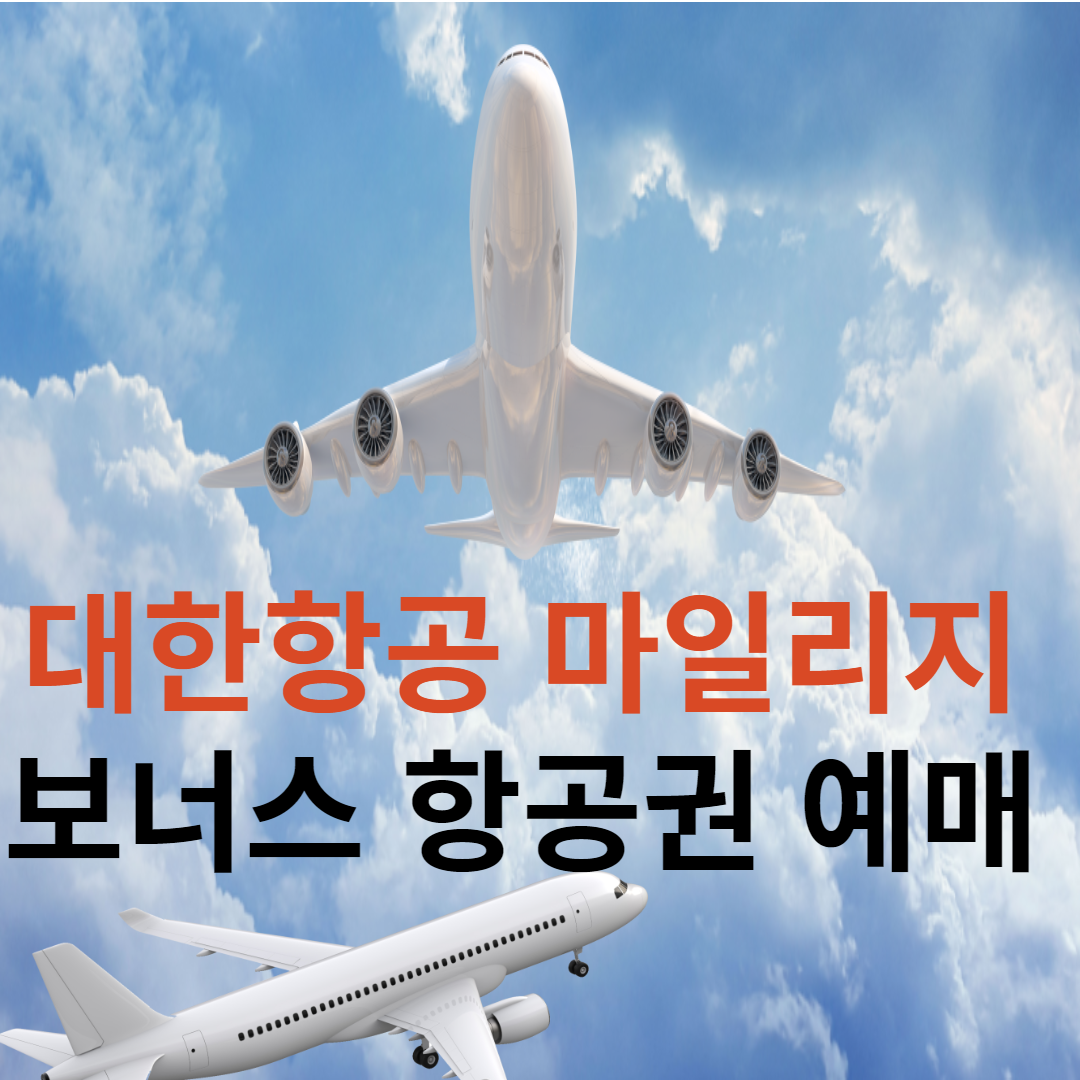 보너스 항공권 예매