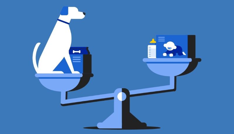 아이와 반려동물 관련 일러스트 이미지 < 출처 : 롯데카드 >