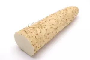 위염에 좋은 음식