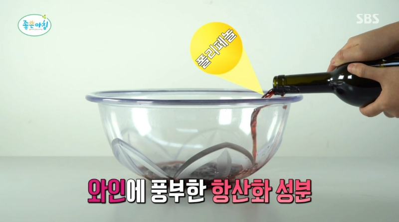 와인 항산화 피부 노화 주름