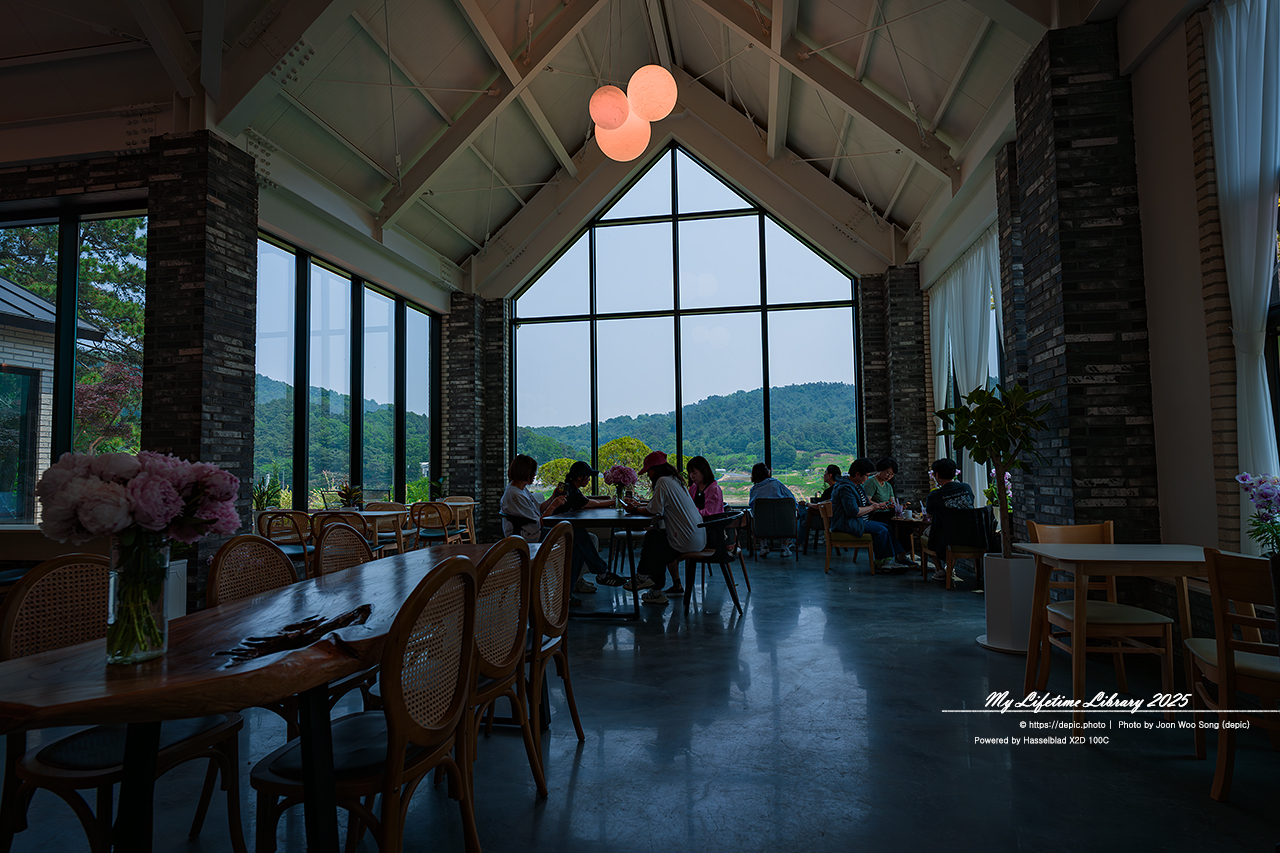 #카페 #꽃 #청주 #오창 #숲이그린정원