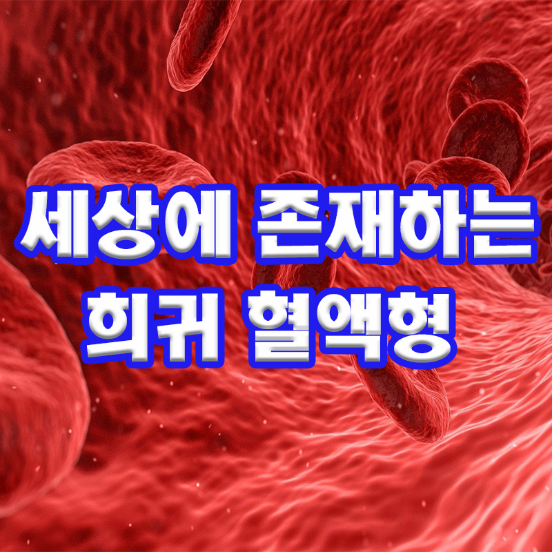 희귀 혈액형