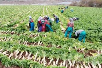 6월에 심는 밭작물 채소_6