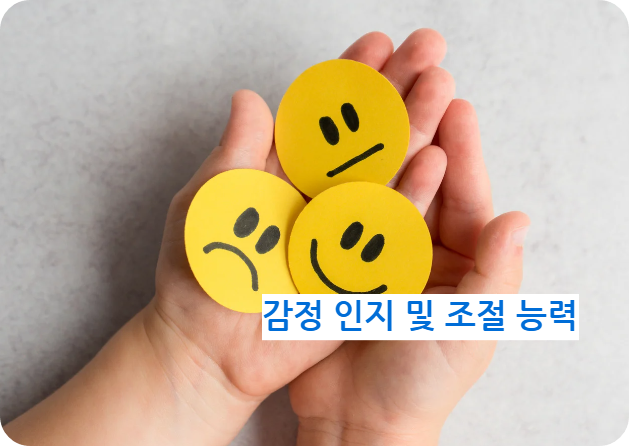 감정 인지 및 조절 능력