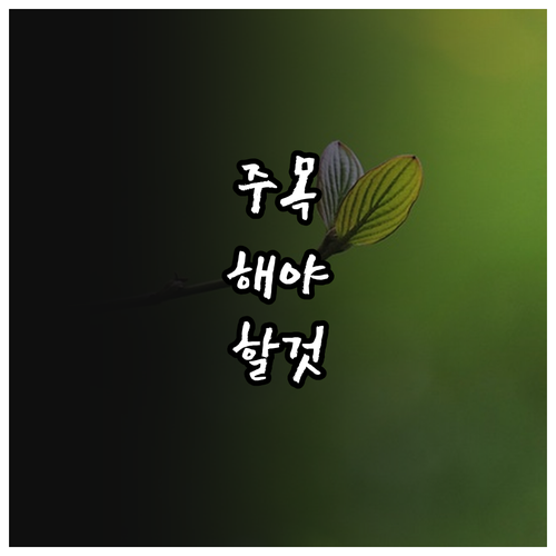 2025 의왕시 효행장려금 50만원 ..