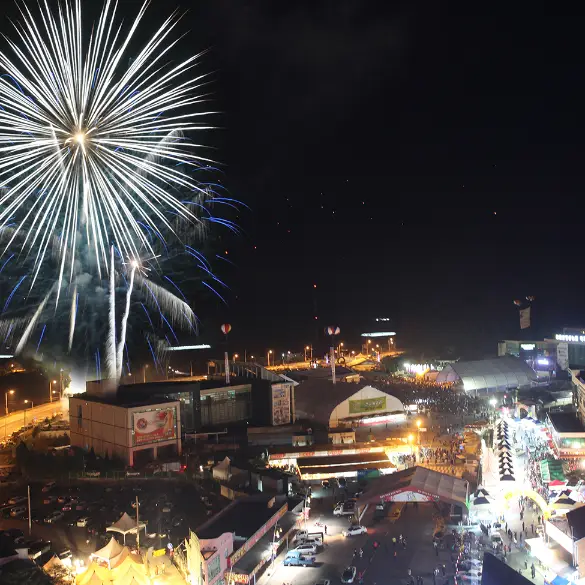 금산세계인삼축제 사진