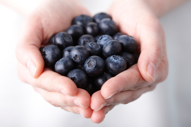 블루베리