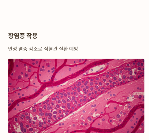 베르베린 효능 : 체지방 감소, 항염증 작용