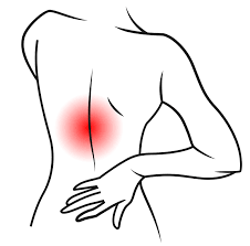 왼쪽 등쪽 통증