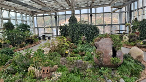 화성_우리꽃식물원_국화전시회