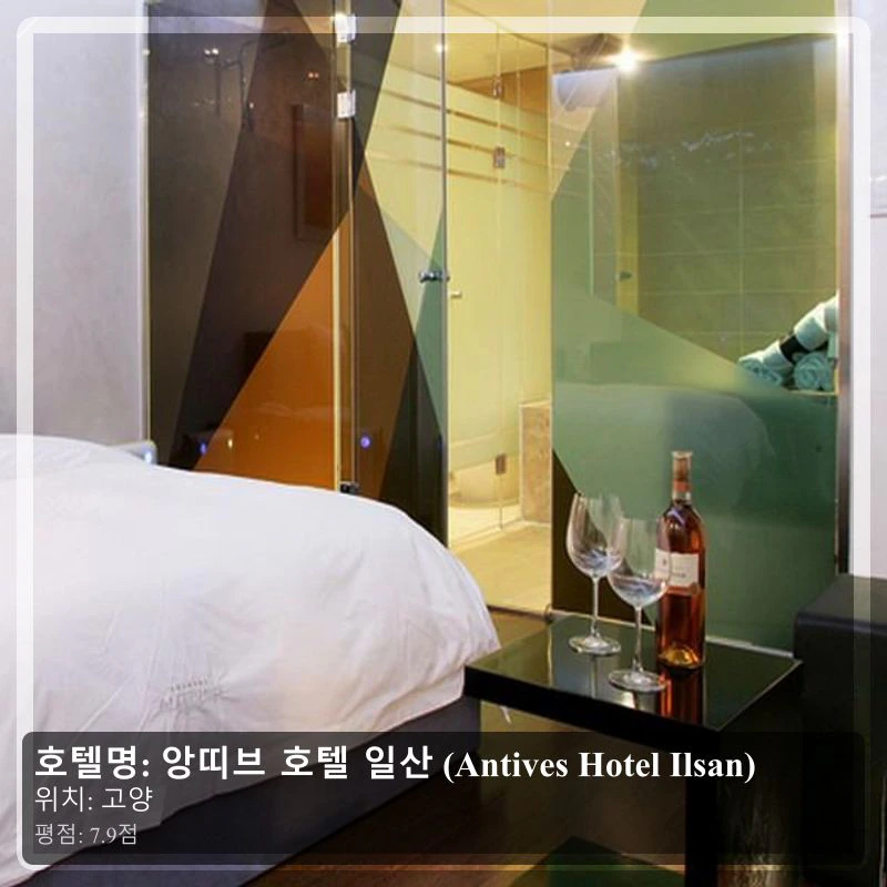 앙띠브 호텔 일산 (Antives Hotel Ilsan)_2