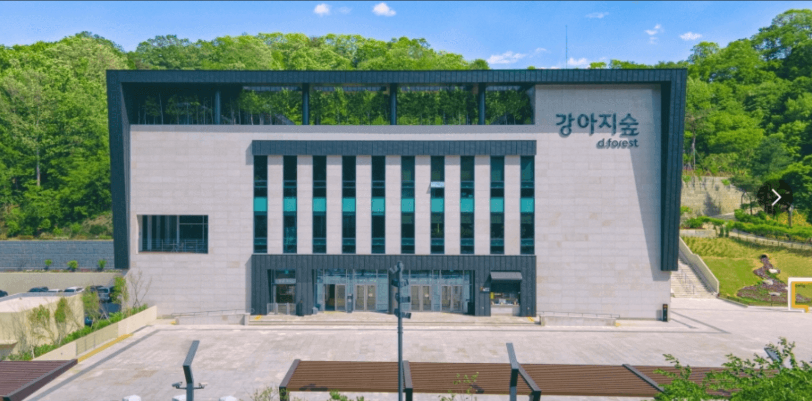 강아지 숲 전경