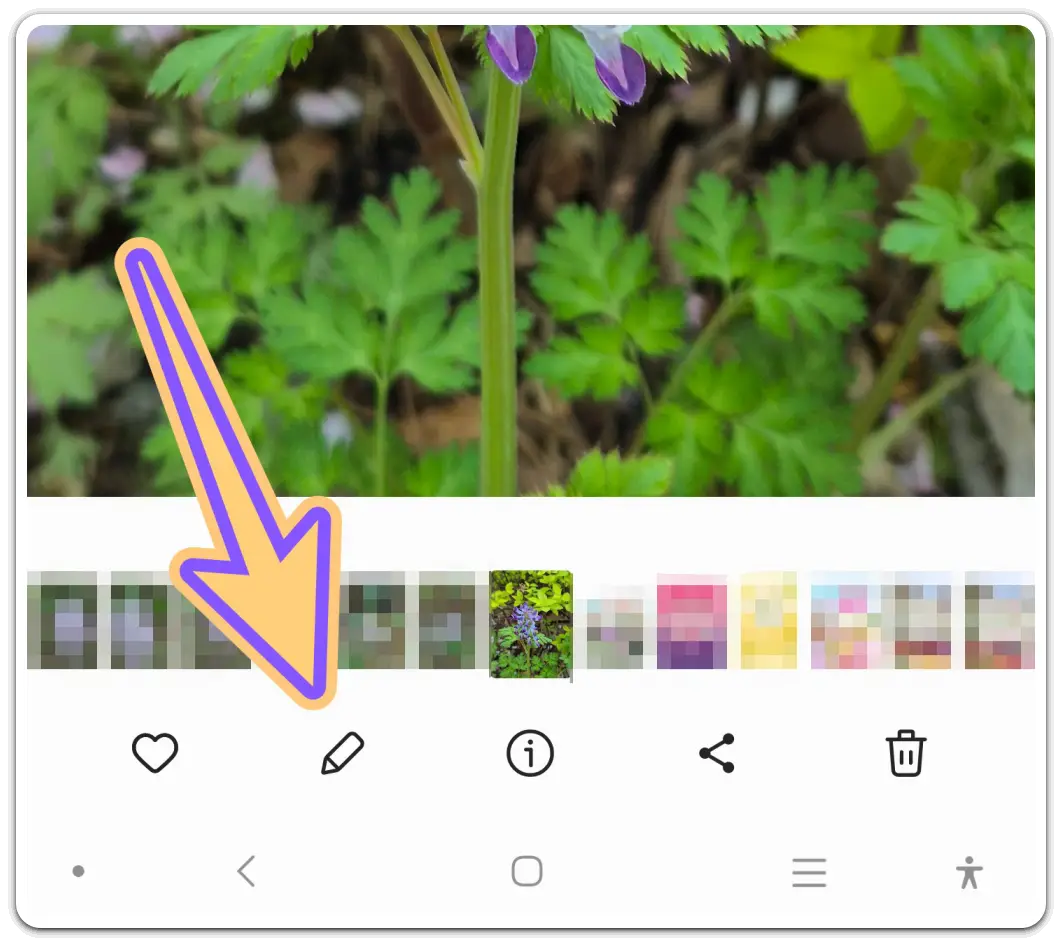 핸드폰으로-사진에-글씨-넣기-방법