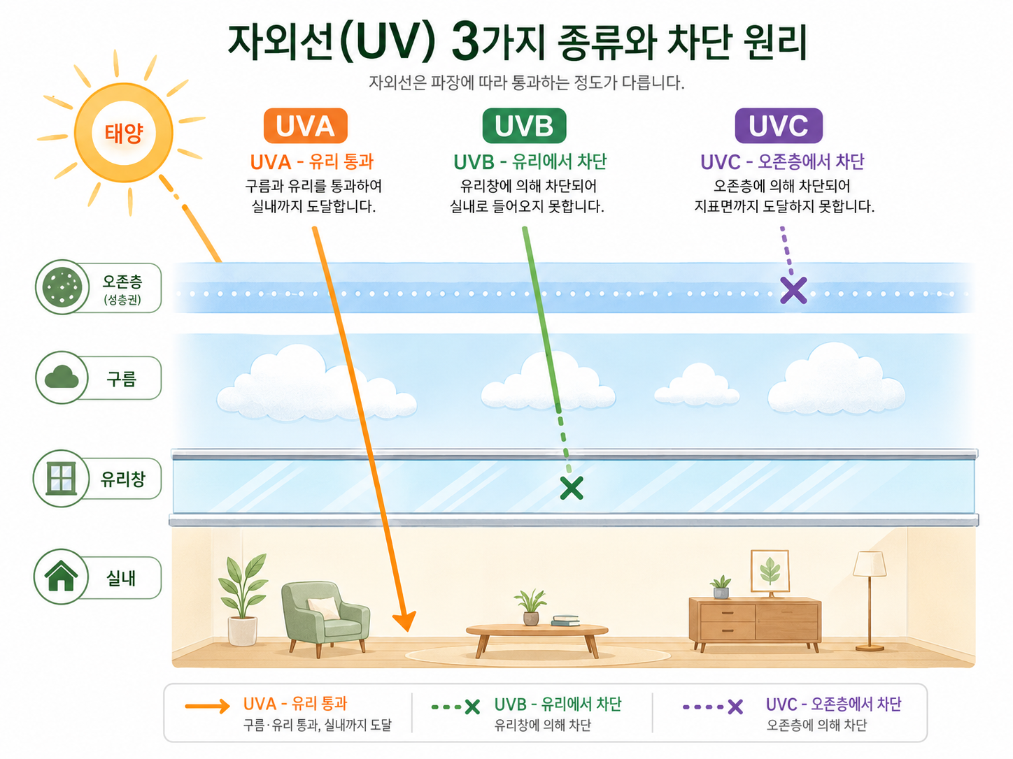 여름에 비타민D가 부족한 이유