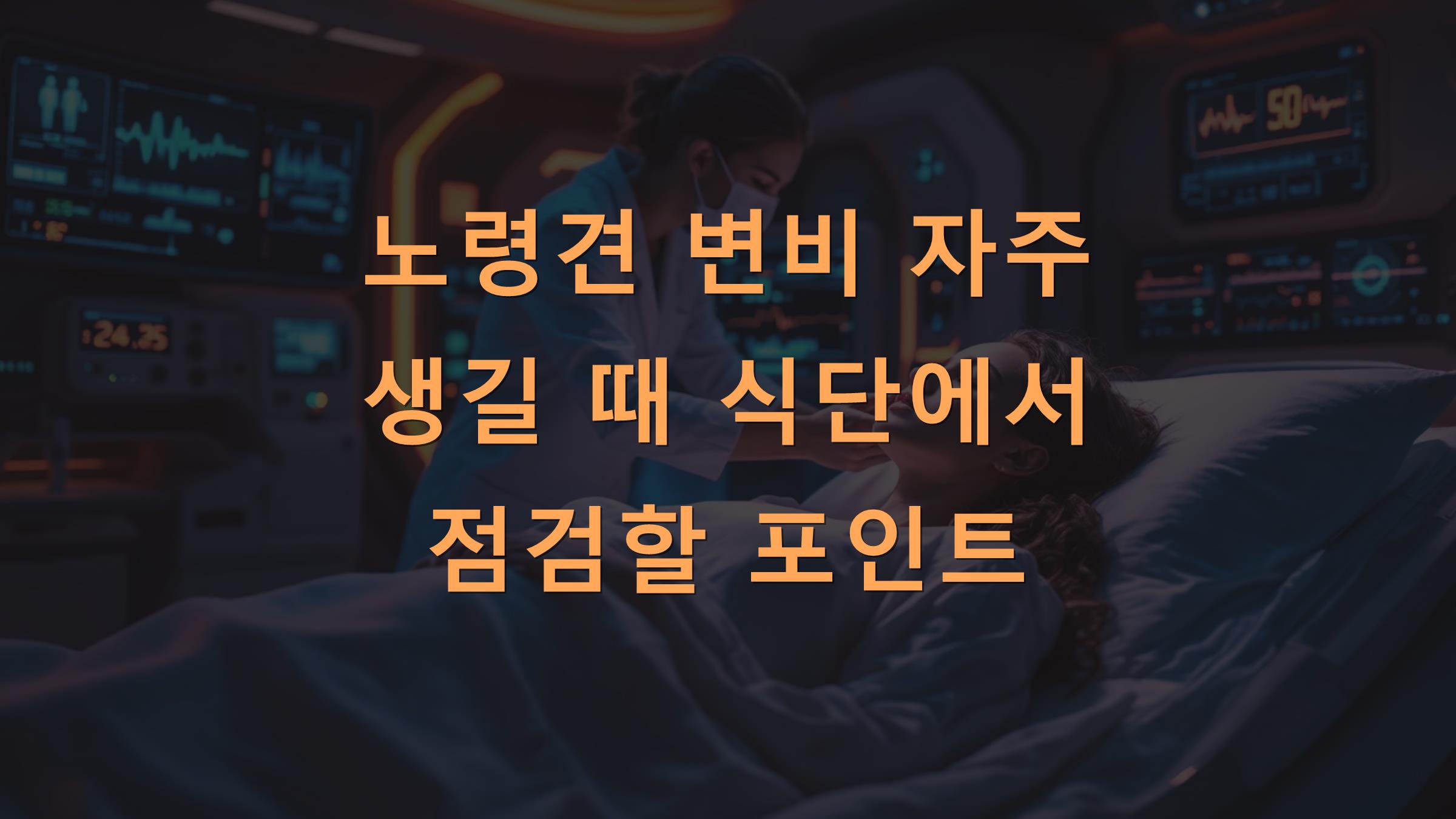 노령견 변비 자주 생길 때 식단에서 점검할 포인트