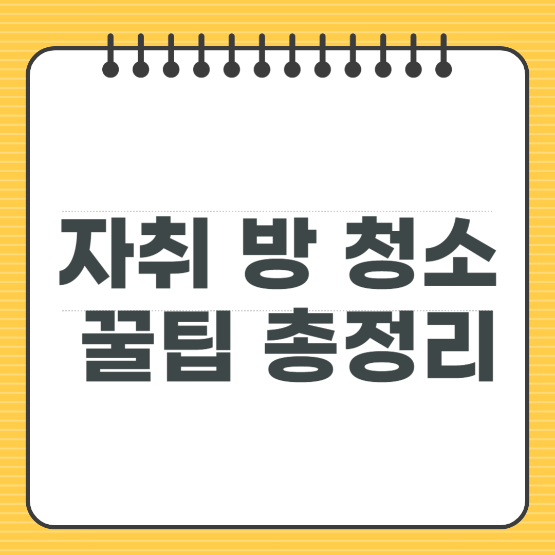 자취 방 청소 꿀팁 총정리