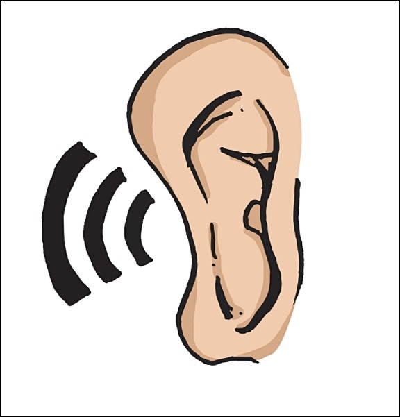 돌발성 난청 원인 2