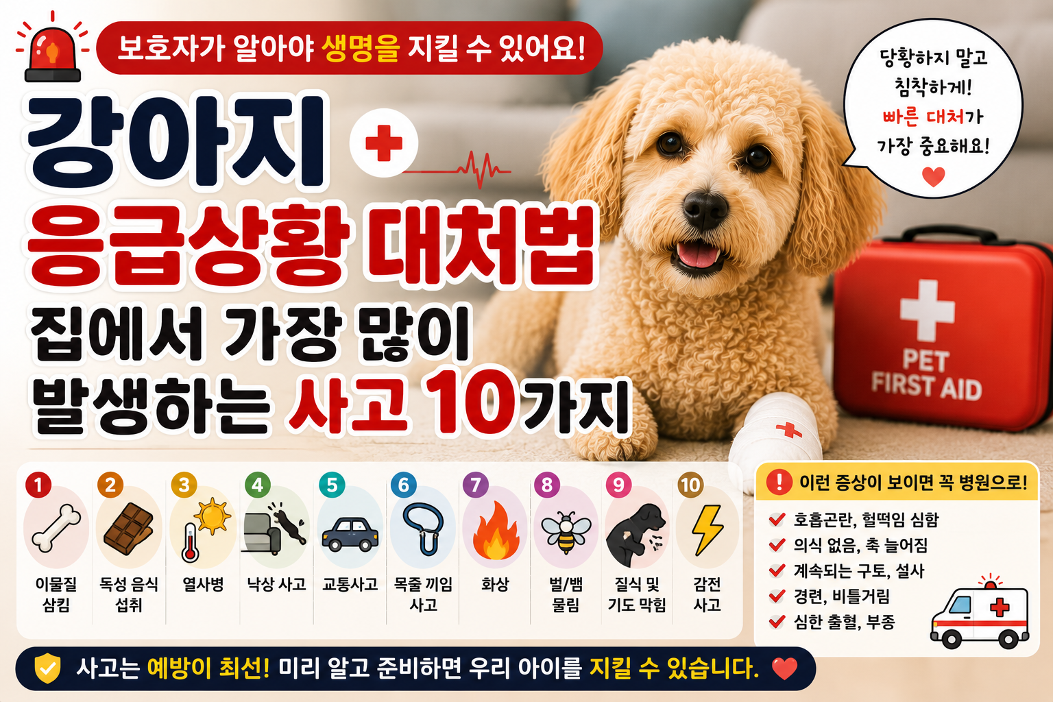 강아지 응급상황 대처법|집에서 가장 많이 발생하는 사고 10가지