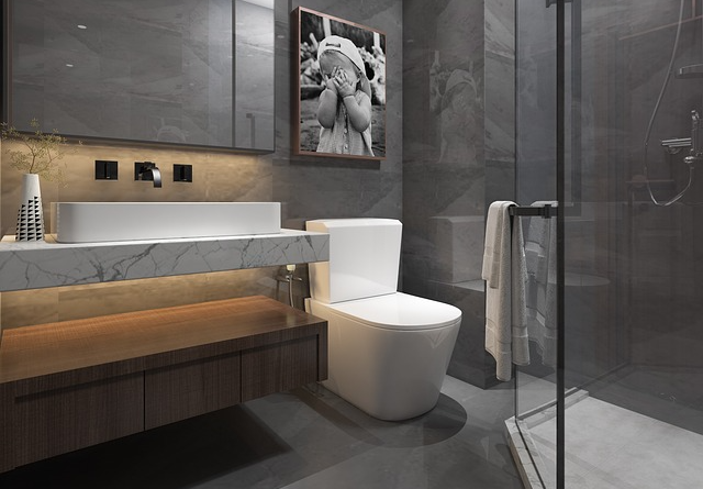 화장실 청소의 기본 원칙, 변기 청소, 하수구 냄새 제거