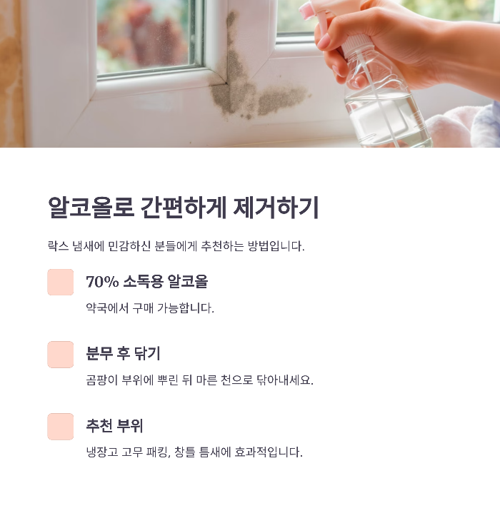 알코올로 곰팡이 없애기