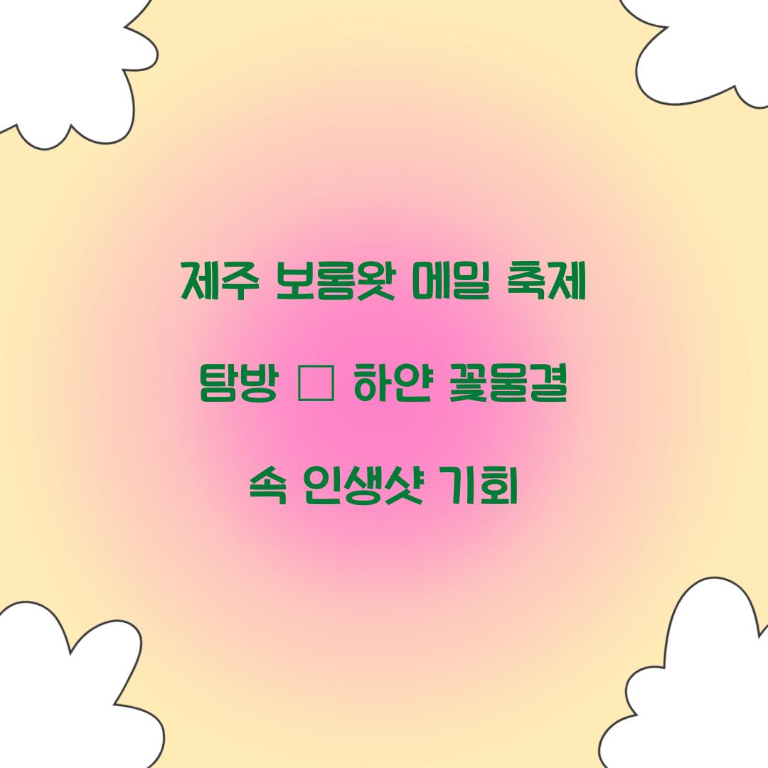 제주 보롬왓 메밀 축제