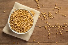 병아리콩 후무스 만들기